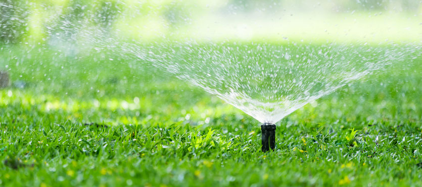 Your Lawn and Water Conservation