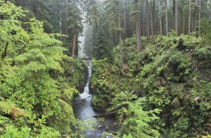 Olympic National Park