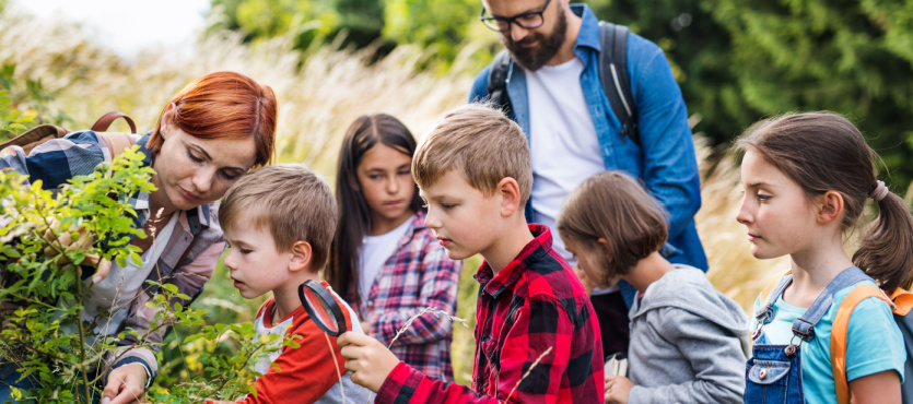 Field Trips and Their Role in a Well-Rounded Education