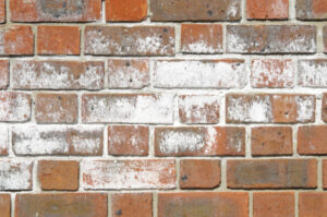 Efflorescence on brick wall